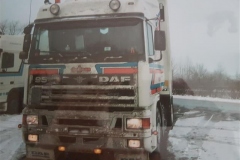DAF-95