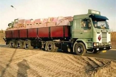 Scania-113M