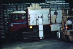 DAF-2600