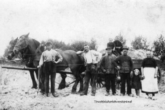 zand-rijden-met-paard-en-wagen